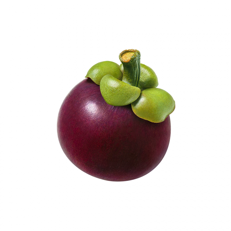 Métamorphose Marilou Thériault