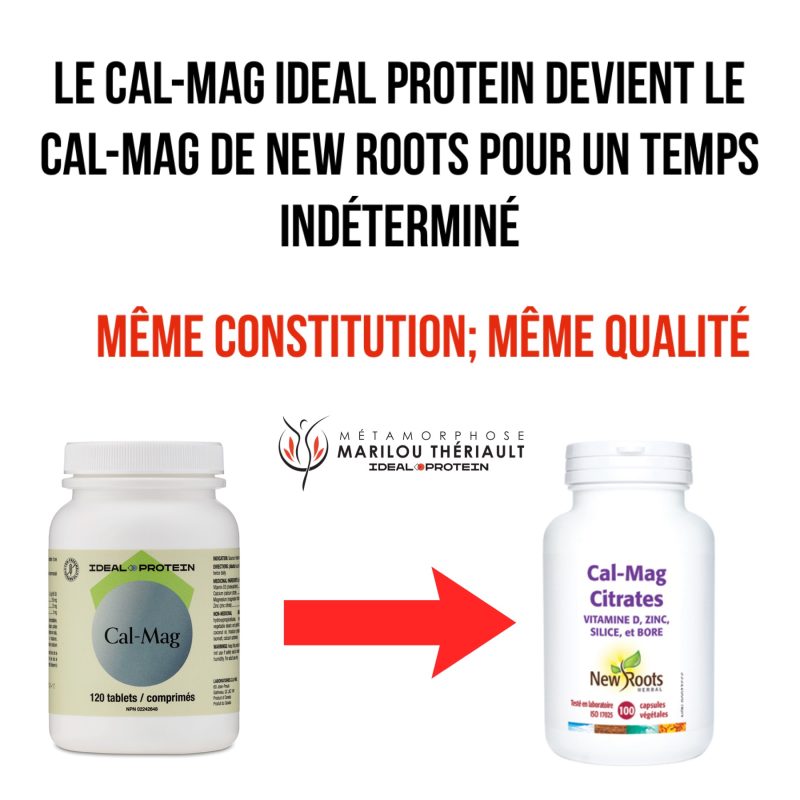Métamorphose Marilou Thériault