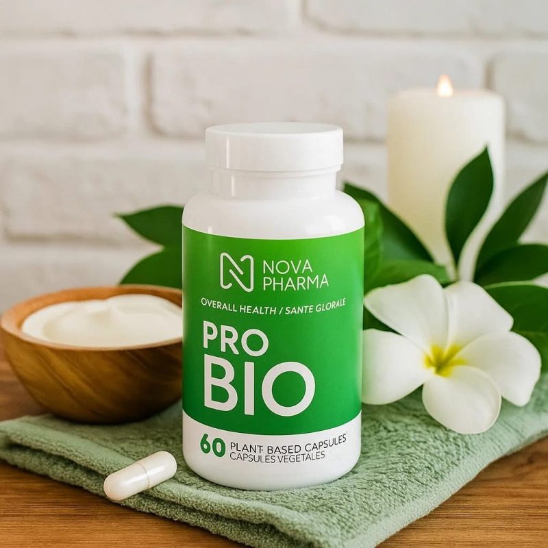 Métamorphose Marilou Thériault