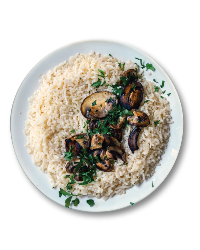 Métamorphose Marilou Thériault