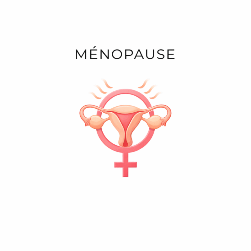 Métamorphose Marilou Thériault