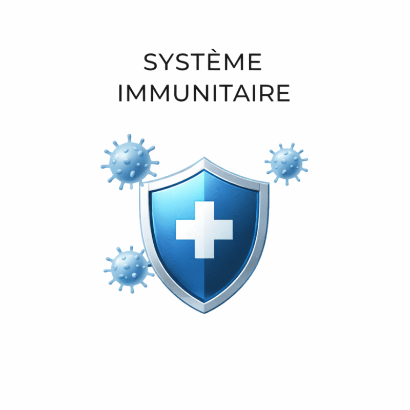 Métamorphose Marilou Thériault