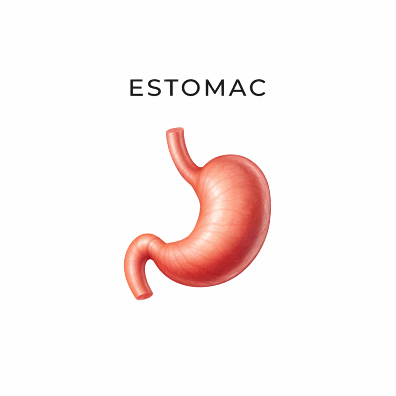 Métamorphose Marilou Thériault