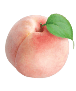 Électrolytes  Pêche blanche